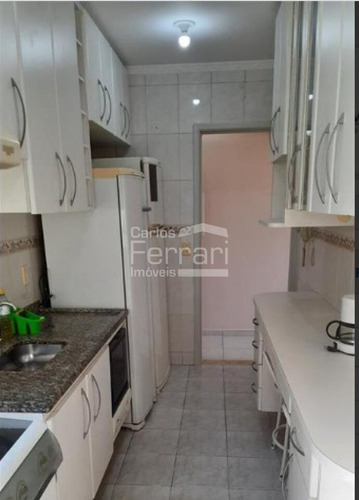 Imagem 3 de 15 de Apartamento Para Locação, Vila Palmeiras, 03 Dormitórios, 01 Suíte, 01 Vaga, Sacada - Cf41966