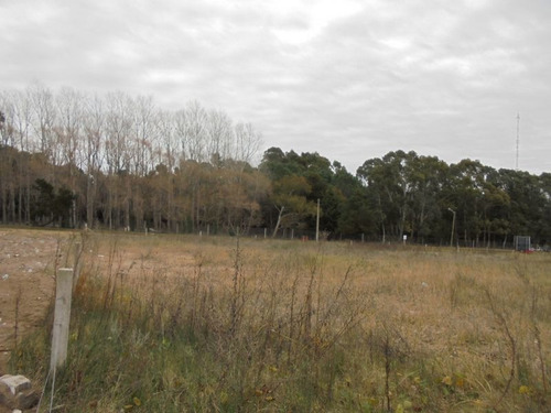Terreno En Venta En San Bernardo