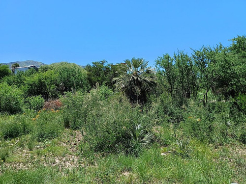 06742- Aloja Inmobiliaria - Vendo Lotes Desde 420m² A Metros Del Bv. Las Gemelas - Capilla Del Monte