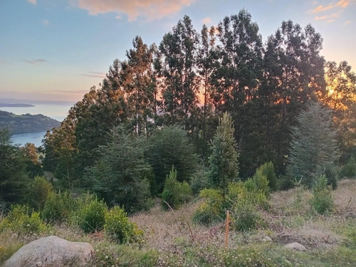 Hermoso Terreno Con Vista Al Lago Ranco