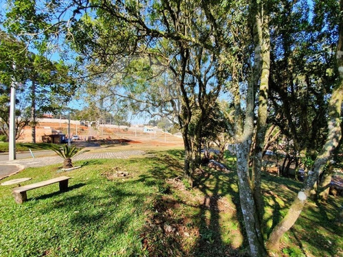 Terreno A Venda No Bairro Centro Em Contenda - Pr. - 350-1