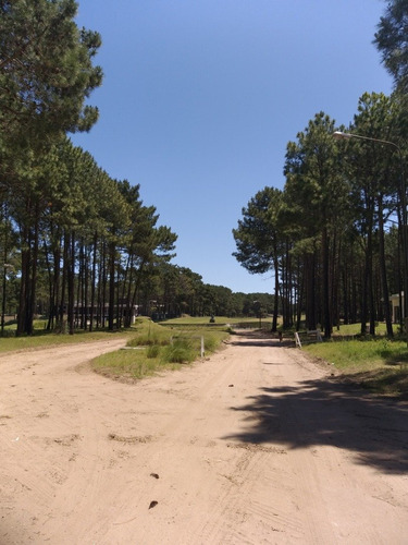 Imagen 2 de 6 de Lote 1200 M2 Zona Alamos Cerca Isla Del Golf