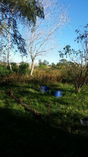 Imagen 5 de 6 de Unico Lote 50 X 40 En Mar De Ajo !!!