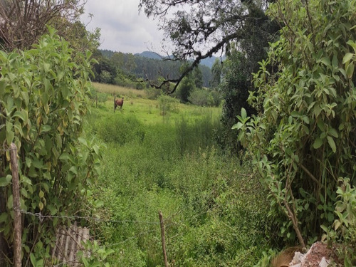 Chácara 20.000 M² - Passo Do Pinto - Gravataí - Rs - 2501 - 69235962