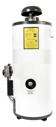 Calentador de agua a gas Iusa PRIMO PLUS R08 LP blanco
