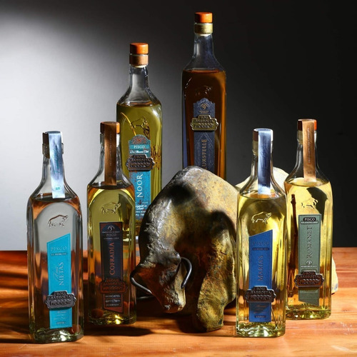 Pack Familia Bou Barroeta Variedad 6 Piscos Botella Premium