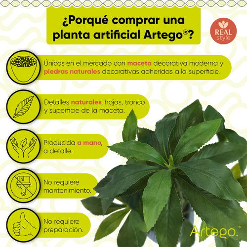 Planta Artificial Moderna Con Maceta Decorativa Real Style Andromeda Japonesa Compacta Pack De 2 Unidades De 45cm De Alto Artego Para Hogar Sala Comercio Oficina