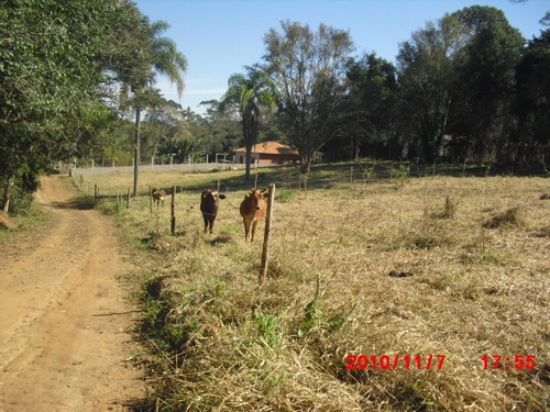 Imagem 8 de 9 de Terreno Bairro Pomaryuri 1000m2 Rico Em Água