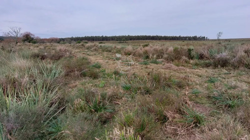 114 Has 9201 M2 En Paraje Jose Ignacio