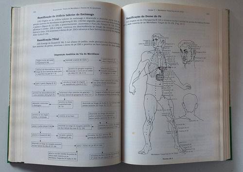 Livro Acupuntura, Teoria Do Meridiano E Pontos De Acupuntura - Li Ding (Usado)