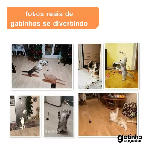 Trampa Para Pájaros De Juguete Para Gatos Con Ventosas Fijas