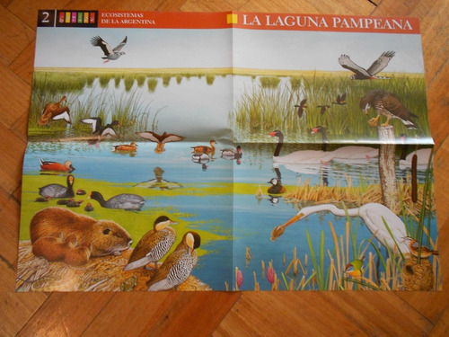 Lucheto Lamina Ilustrada La Laguna Pampeana - Genios