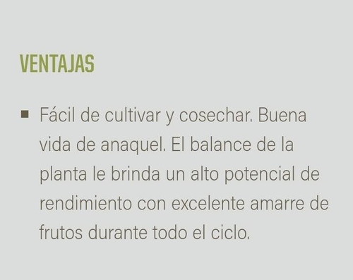 Semillas De Pepino Persa Jawell - 1000 Unidades De Ruiter (Usado)