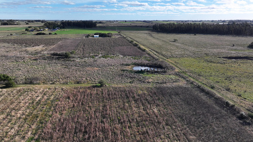 Chacra De 8 Hectáreas Con Casa Y Coneat 190, Buena Tierra