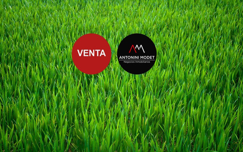 Imagen 1 de 1 de Lote En Venta En Haras Santa Maria - El Trebol - Escobar