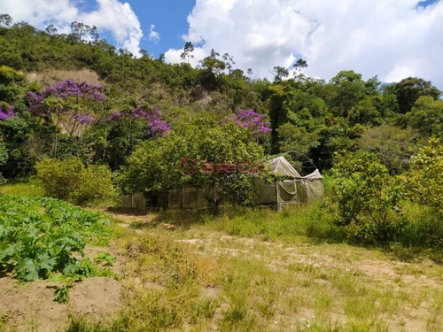 Imagem 6 de 12 de Grande Fazenda Com 2.5 Milhões De Área Total - Fa00020 - 69353189