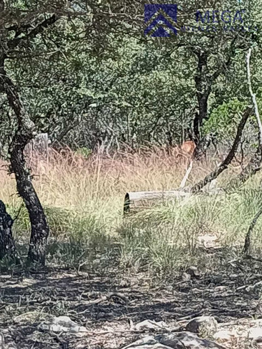 Terreno En Venta En Desarrollo Ecoturisco La Muralla Durango