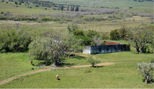 Imagen 1 de 13 de Terreno Campo En Venta Ubicado En El Tesoro, Punta Del Este