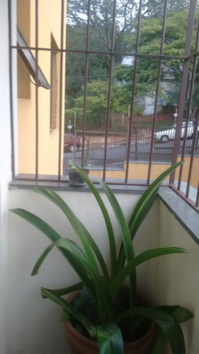 Imagem 7 de 13 de Apartamento - Ref: 4546