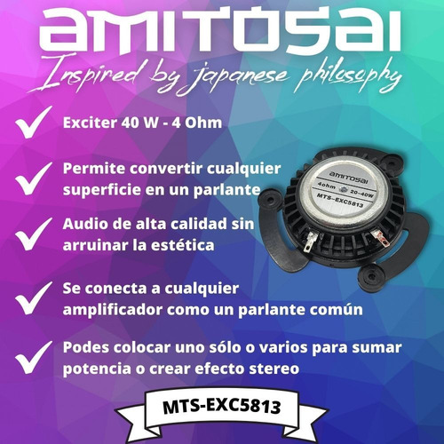 Parlante Invisible Exciter Amitosai Mts-exc5813 Speaker Color Negro