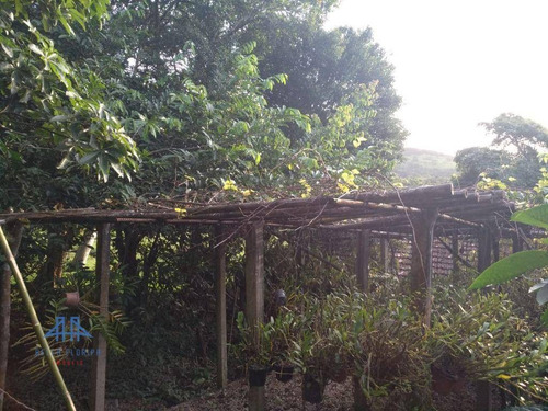 Imagem 11 de 19 de Chácara Com 3 Dormitórios À Venda, 5400 M² Por R$ 1.198.000,00 - Vargem Grande - Florianópolis/sc - Ch0009