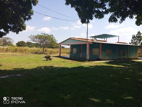 Imagen 7 de 9 de Venta De Funcional Y Productiva Finca De 5hect En Tocuyito - Inmobiliaria Maggi 1033