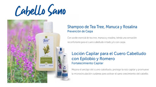 Shampoo De Tea Tree Y Loción Capilar Just Cabello Sano