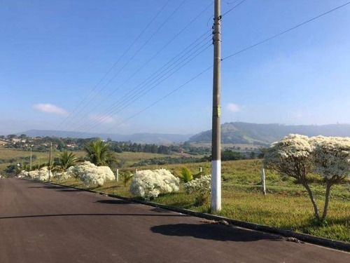 Imagem 11 de 21 de Venda - Sítio - Novo Horizonte - São Pedro - Sp - Ea581142