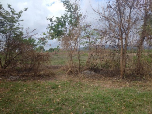 Imagen 25 de 30 de Terrenos En Venta El Placer Cabudare 21-17389 @m