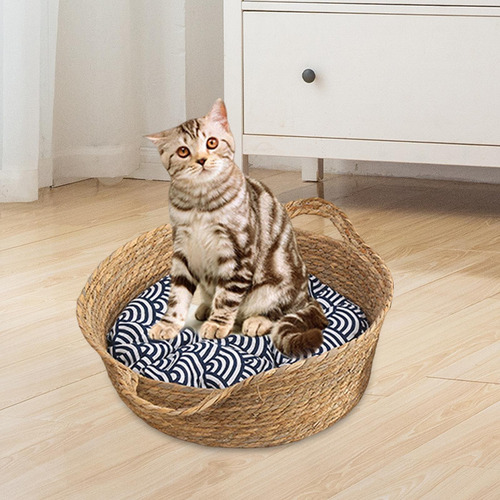 Pequeño Perro Gato Casa Diámetro 40 Cm Altura 14 Cm