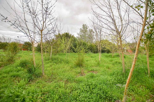 Imagen 15 de 15 de Terreno En Venta La Plata