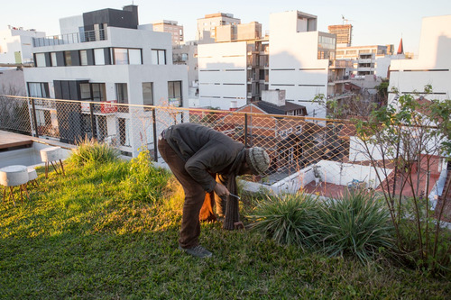 Terrazas Verdes, Jardines En Terrazas Y Edificios (seña)