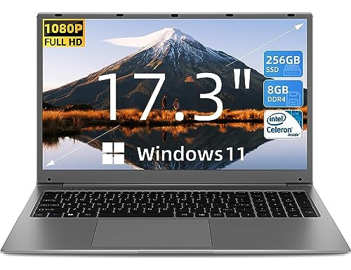 Portátil Sgin 17 , 8gb Ram 256gb Ssd, Full Hd Ips