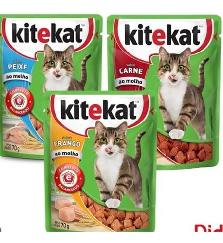 Combo Pouch Kitekat *10 Surtidos 