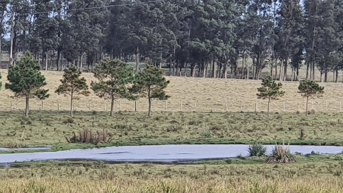 Inversión Asegurada En Las Garzas Rocha- Ref: 1097