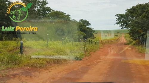 Imagem 15 de 15 de Fazenda À Venda Em Corguinho - Ms - De 207 Hectares (pecuária) - 1776