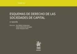 Libro Tomo Xli Esquemas De Derecho De Las Sociedades De C...