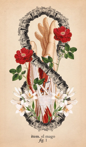 Imagen 2 de 8 de El Tarot De Anatomía Y Botánica Antigua (libro + Cartas)