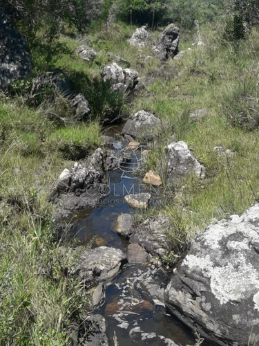Imagen 4 de 16 de Campo En Carape - Departamento De Maldonado - Carape