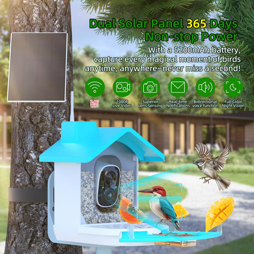 Alimentador Inteligente De Pássaros Fxanixi Com Câmera 1080p
