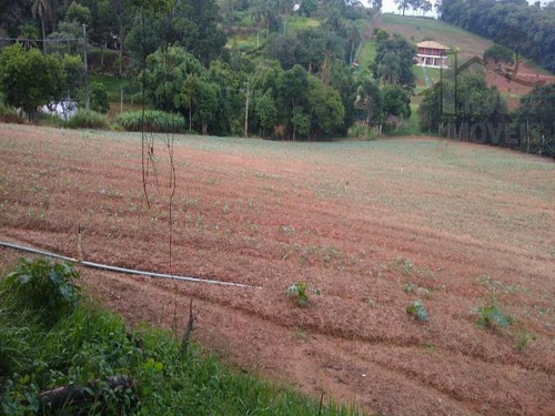 Imagem 13 de 14 de Cod 5971 - Linda Área Do Lado Da Estrada Vicinal - 5971