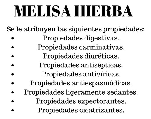 Melisa Hierba Infusion 1 Kilo