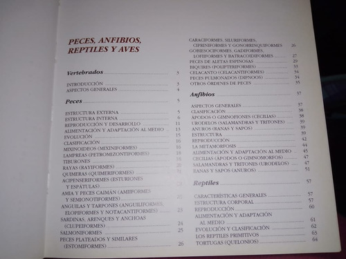 Libros Enciclopedia Autodidacta Siglo Xxi (Usado)