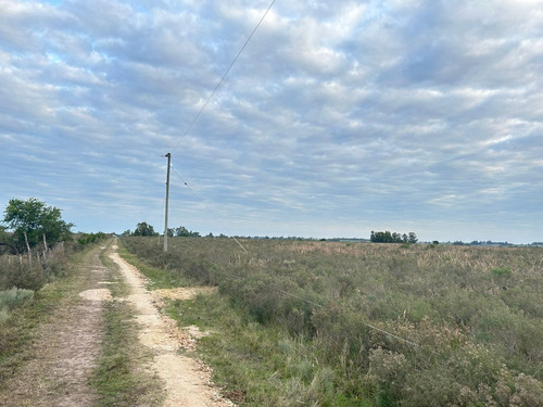 Imagen 3 de 4 de Campo A Mts De Ruta 7 - Tala