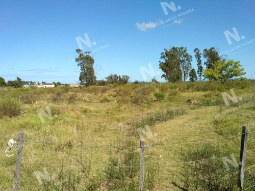Imagen 4 de 14 de Ruta 104 Zona Ideal Para Vivir Todo El Año - San Carlos Quinta De Medina