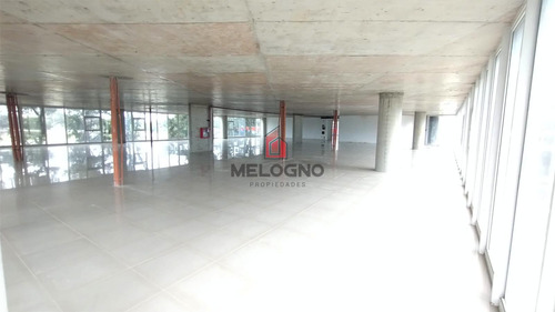 Oficina 576m2 En K41 - Francisco Alvarez.