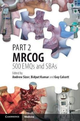 Part 2 Mrcog: 500 Emqs And Sbas - Andrew Sizer