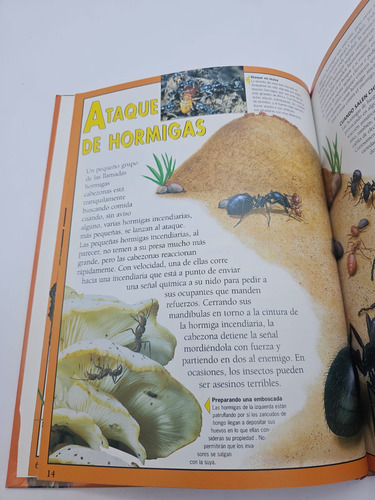 Los Insectos Bajo El Microscopio La Conducta (Usado)