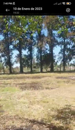 Imagen 12 de 19 de Terreno 107x81 Metros Virreydel Pino