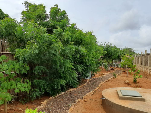 Imagen 10 de 10 de En Venta Casa De Campo Paraguana / En Buenas Manos